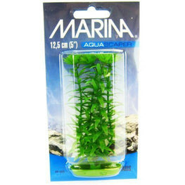 Marina Aquarium 5