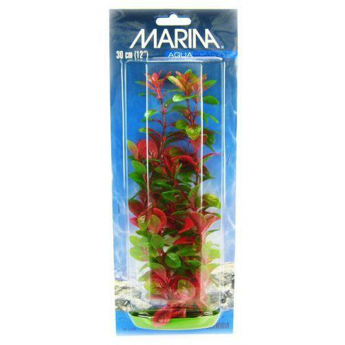 Marina Aquarium 12" Tall Marina Red Ludwigia Plant