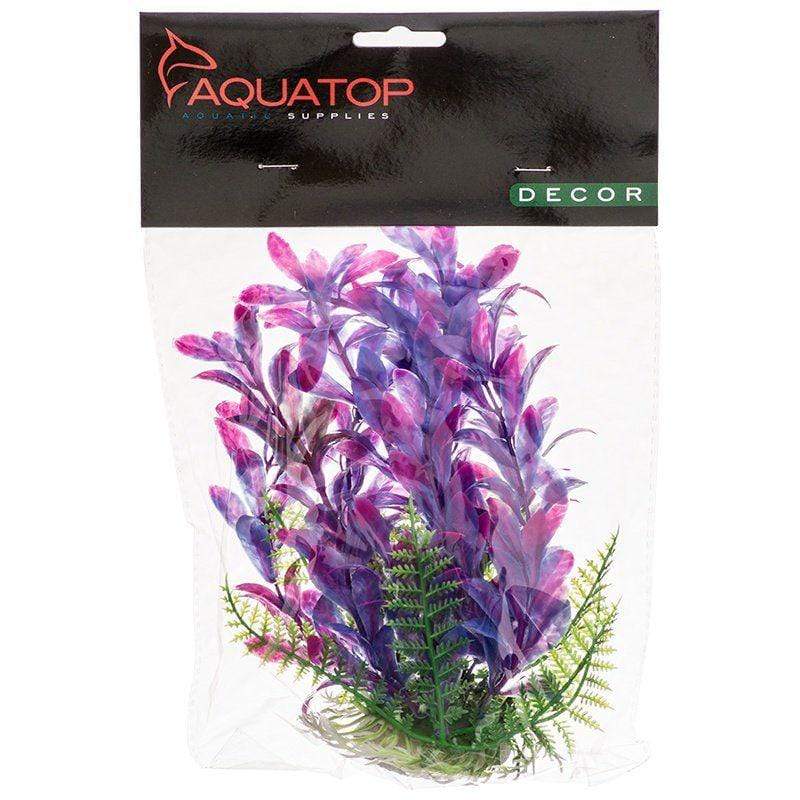 Aquatop Aquarium Aquatop Hygro Aquarium Plant - Pink & Purple