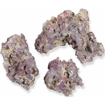 Caribsea Aquarium 40 lbs CaribSea Aragonitic Life Rock