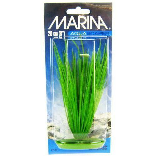 Marina Aquarium 8" Tall Marina Hairgrass Plant
