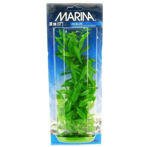 Marina Aquarium 12" Tall Marina Hygrophila Plant