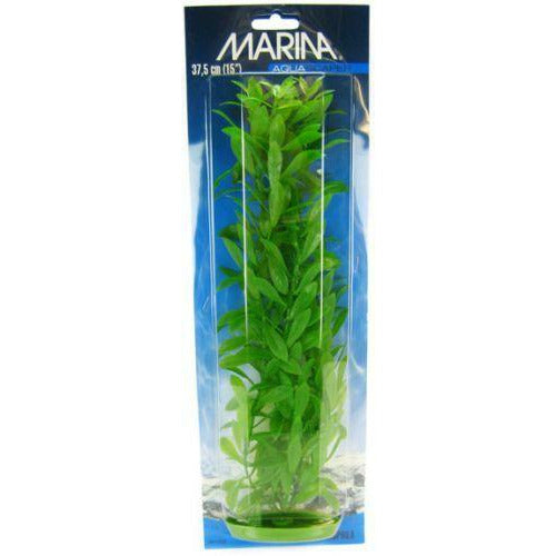 Marina Aquarium 15" Tall Marina Hygrophila Plant