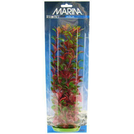 Marina Aquarium 15