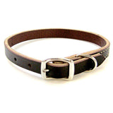 Circle T Leather Dog Circle T Latigo Leather Town Collar