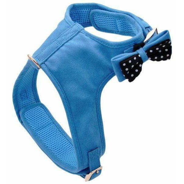 Coastal Pet Dog Small Coastal Pet Accent Microfiber Dog Harness Boho Blue with Polka Dot Bow