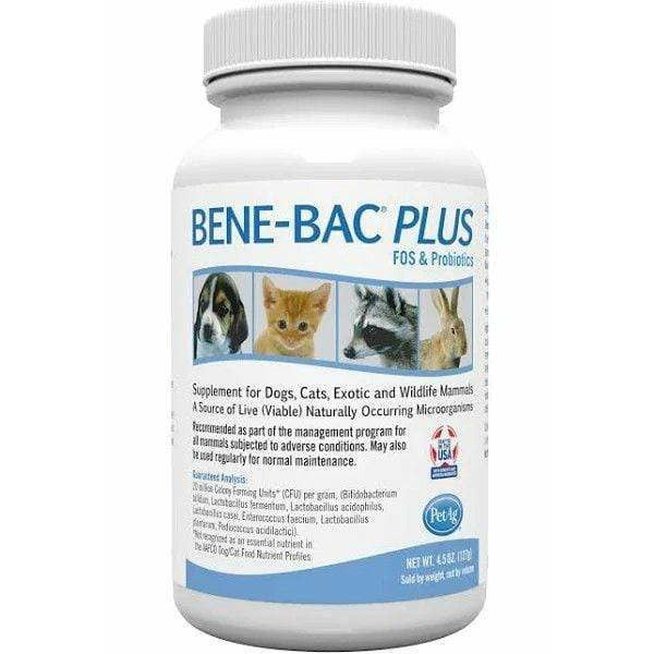 Pet Ag Dog 4.5 oz Pet Ag Bene-Bac Plus Powder Fos Prebiotic and Probiotic for Dogs, Cats, Exotic and Wildlife Mammals