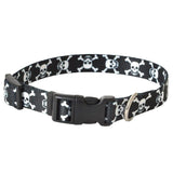 Coastal Pet Dog 10"-14" Long x 5/8" Wide Pet Attire Styles Skulls Adjustable Dog Collar