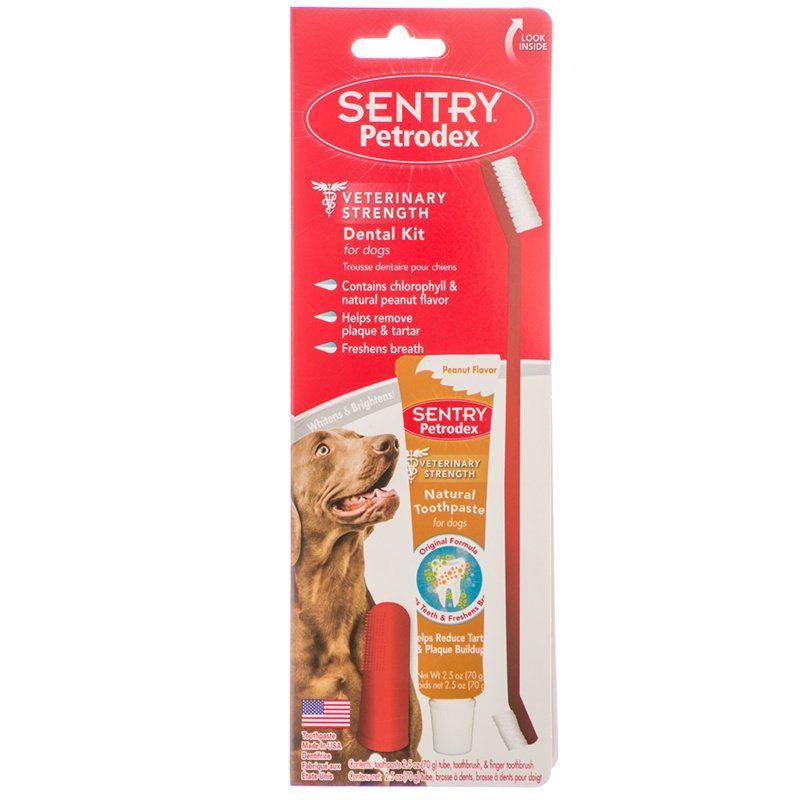 Sentry Dog 2.5 oz Toothpaste - 8.25" Brush Petrodex Dental Kit for Dogs - Peanut Butter Flavor