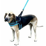 Sporn Dog Medium Sporn Easy Fit Dog Harness Blue