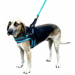 Sporn Dog Large Sporn Easy Fit Dog Harness Blue