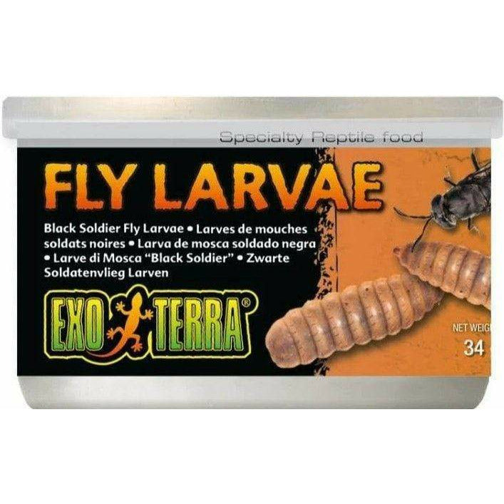 Exo-Terra Reptile 1.2 oz Exo Terra Canned Black Soldier Fly Larvae Specialty Reptile Food