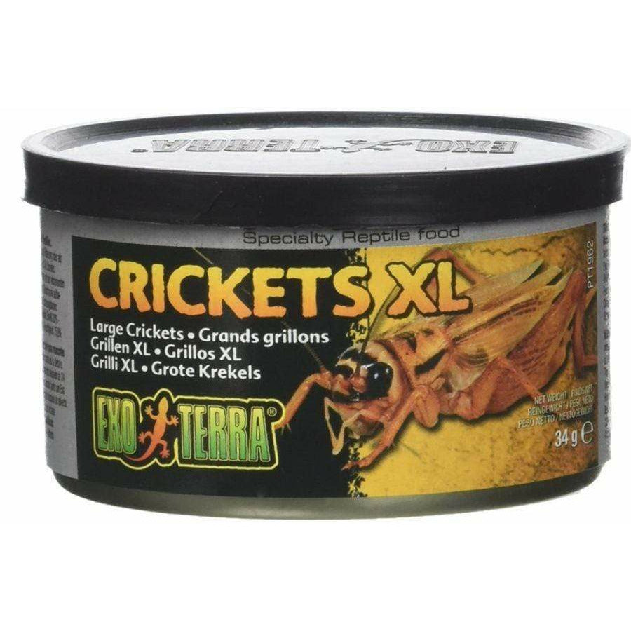 Exo-Terra Reptile 1.2 oz Exo Terra Canned Crickets XL Specialty Reptile Food