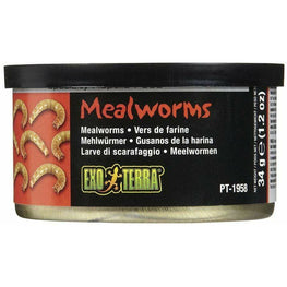 Exo-Terra Reptile 1.2 oz Exo Terra Canned Mealworms Specialty Reptile Food