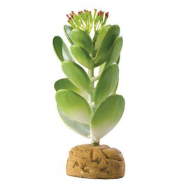 Exo-Terra Reptile 1 Pack Exo-Terra Desert Jade Cactus Terrarium Plant