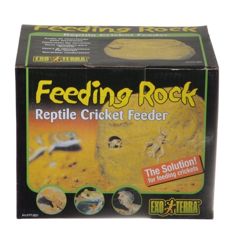 Exo-Terra Reptile 1 Pack Exo-Terra Feeding Rock Reptile Cricket Feeder