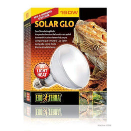 Exo-Terra Reptile Exo-Terra Solar Glo Mercury Vapor Sun Simulating Lamp