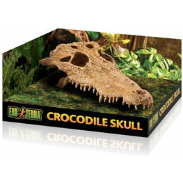 Exo Terra Reptile 1 count Exo Terra Terrarium Crocodile Skull Decoration