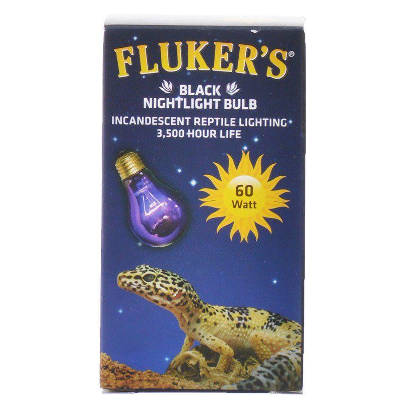 Flukers Reptile Flukers Black Nightlight Incandescent Bulb