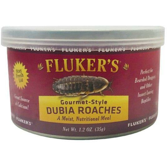 Flukers Reptile 1.2 oz Flukers Gourmet Style Dubia Roaches