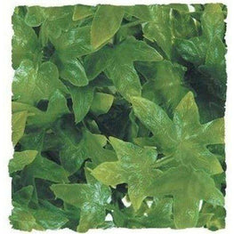 Zoo Med Reptile 1 count Zoo Med Natural Bush Australian Maple Plant Large