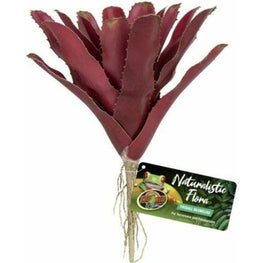 Zoo Med Reptile 1 count Zoo Med Naturalistic Flora Fireball Bromeliad