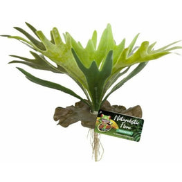 Zoo Med Reptile 1 count Zoo Med Naturalistic Flora Staghorn Fern